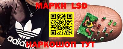 крисы Рязань