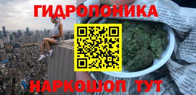 крисы Рязань
