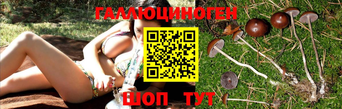 Псилоцибиновые грибы прущие грибы  Вход с VPN  Орёл 